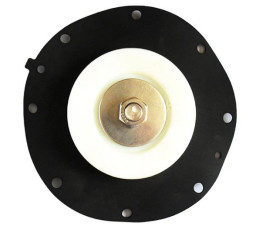 Membran Kit For Goyen Pulse Valve RCAC20T4 ST4 DD4 FS4 der Stoßwellen-K2034