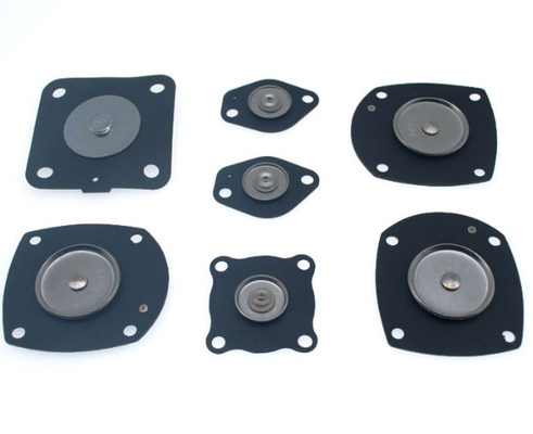 Membran Kit For Goyen Pulse Valve RCAC20T4 ST4 DD4 FS4 der Stoßwellen-K2034
