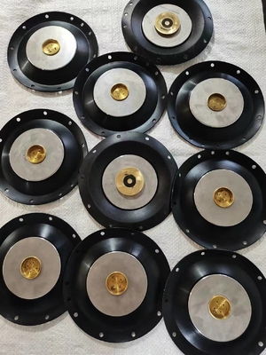 24V-Solenoidventildiaphragma aus Edelstahl mit 10 Bar Druckwiderstand